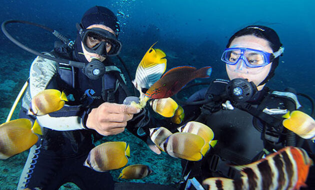 Paket Wisata Bunaken 1 Hari One Day Trip Harga Murah